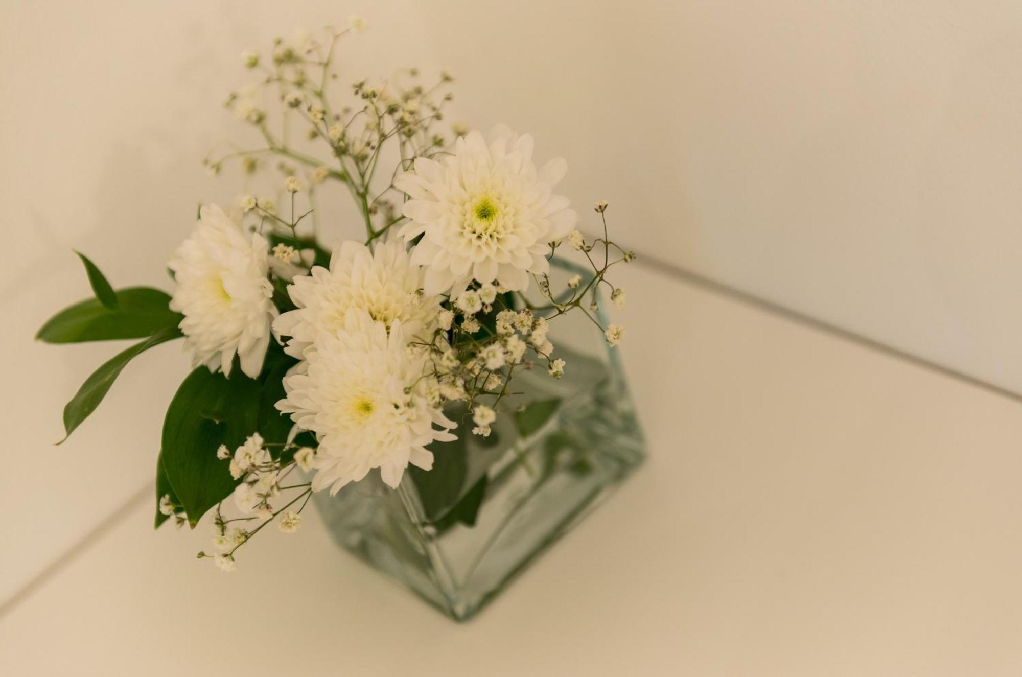 Bed&Breakfast Sorgo Palace 스톤 객실 사진